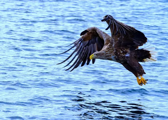 Mortsund Lofoten Leknes