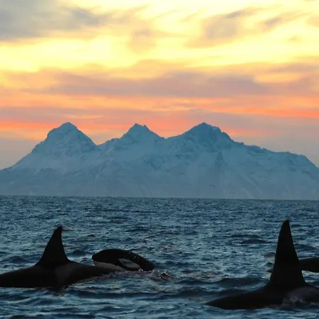 Mortsund Lofoten Сasa de vacaciones Leknes