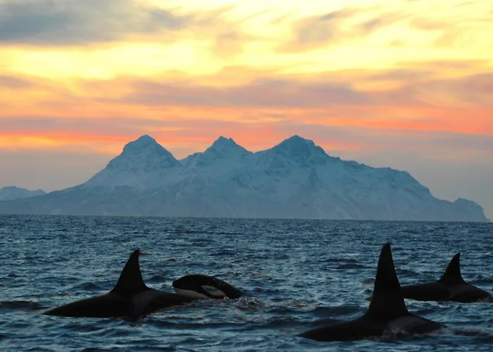 Mortsund Lofoten Сasa de vacaciones Leknes